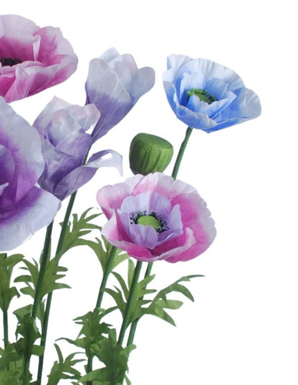 SET 9 FIORI ANEMONE