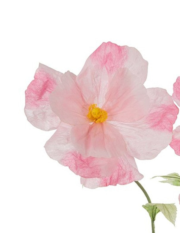 COSMOS ROSA SET DA 3