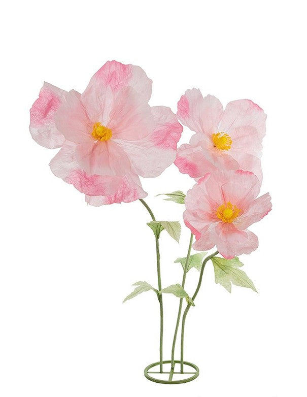 COSMOS ROSA SET DA 3