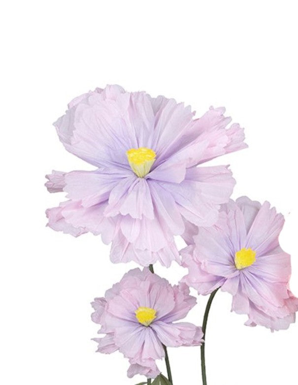 CAMELIA VIOLA SET DA 3