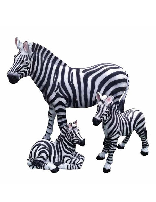 ZEBRA DECORATIVA