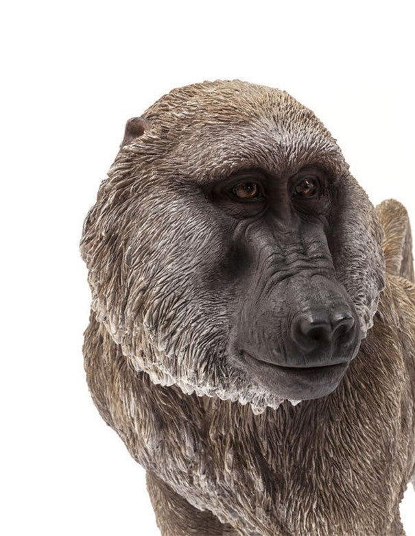 FIGURA DECORATIVA BABBUINO
