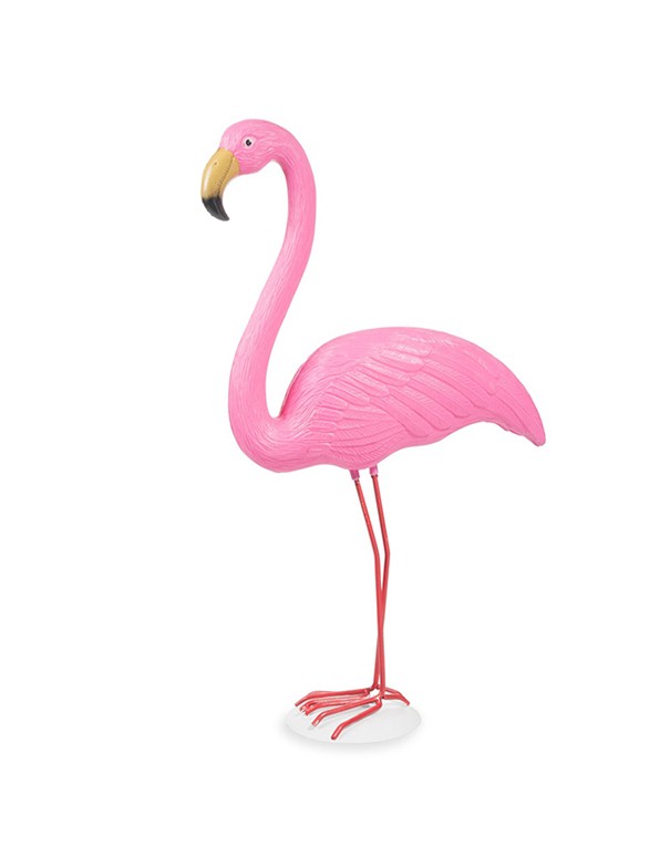 FENICOTTERO ROSA