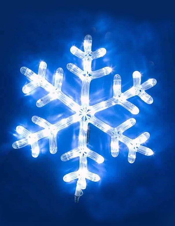 FIOCCO DI NEVE