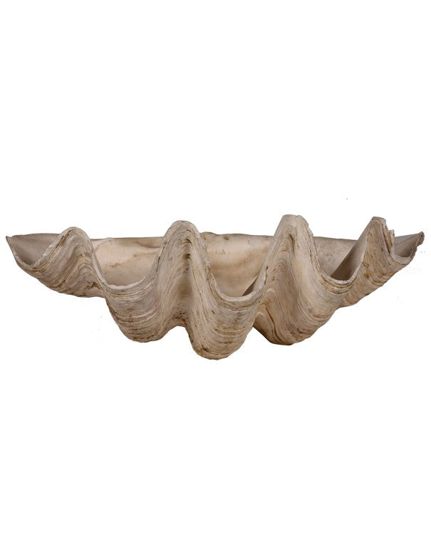 CONCHIGLIA DECORATIVA