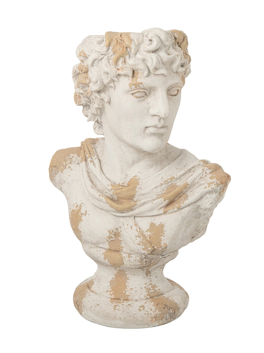 BUSTO GRECO MASCHIO ANTICHIZZATO