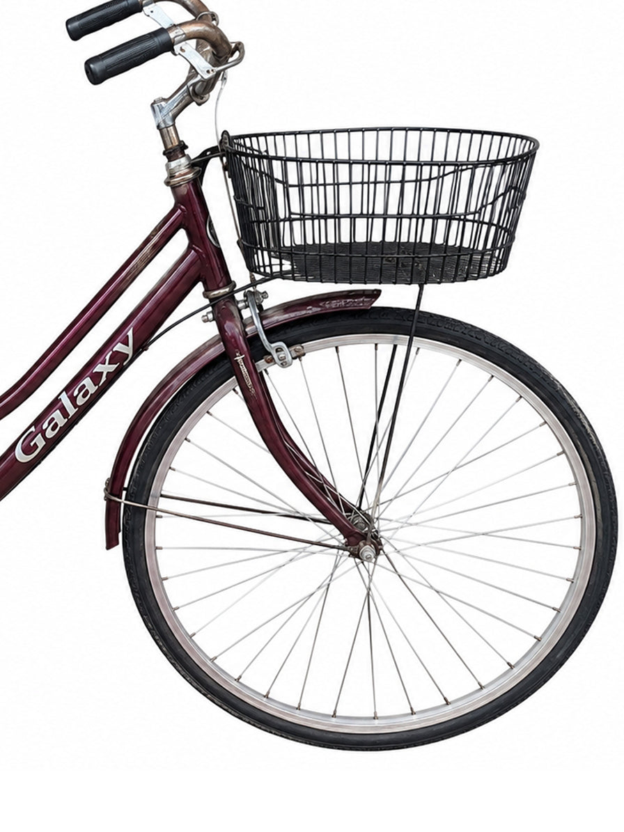 BICICLETTA PRUGNA