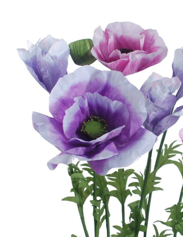 SET 9 FIORI ANEMONE