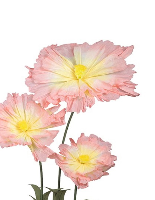 CAMELIA ROSA SET DA 3