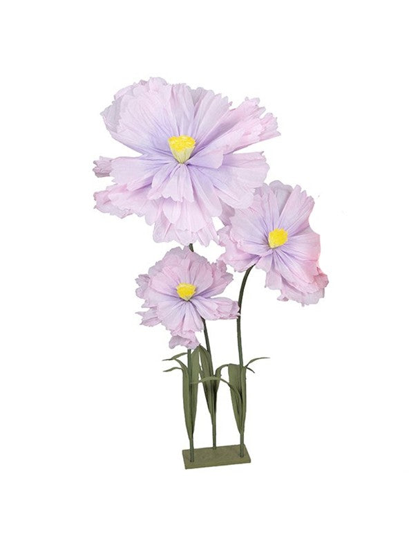 CAMELIA VIOLA SET DA 3