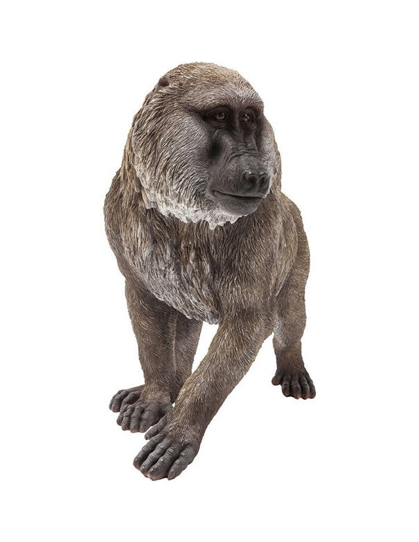 FIGURA DECORATIVA BABBUINO