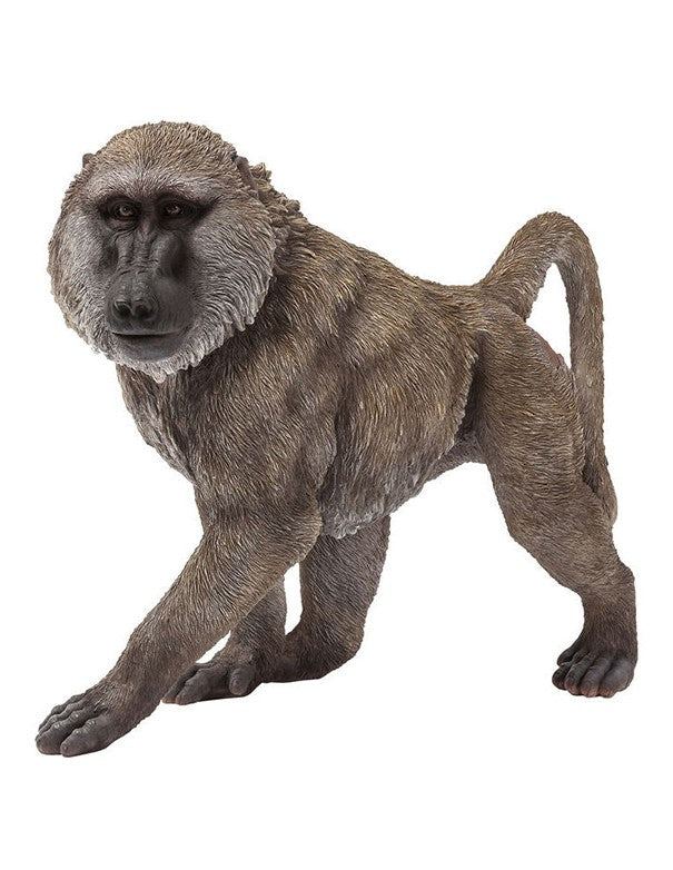 FIGURA DECORATIVA BABBUINO
