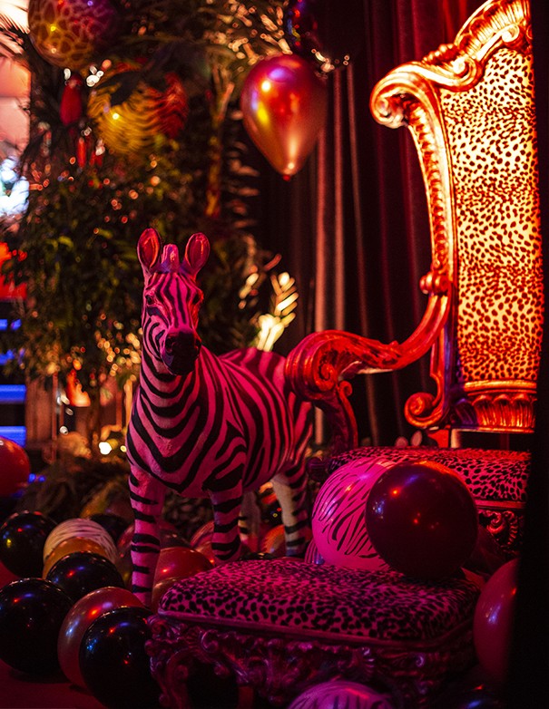 ZEBRA DECORATIVA