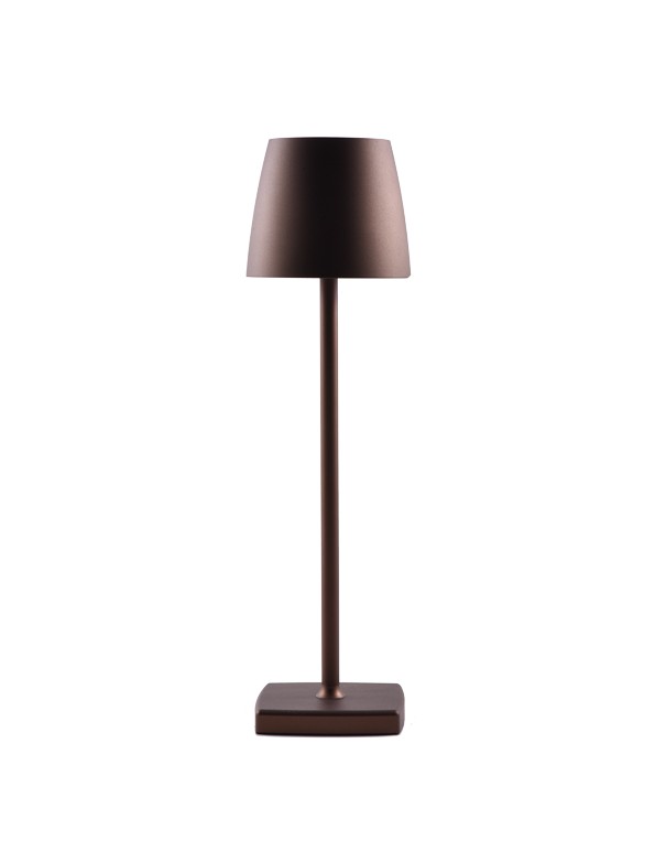 LAMPADA DA TAVOLO BRONZO