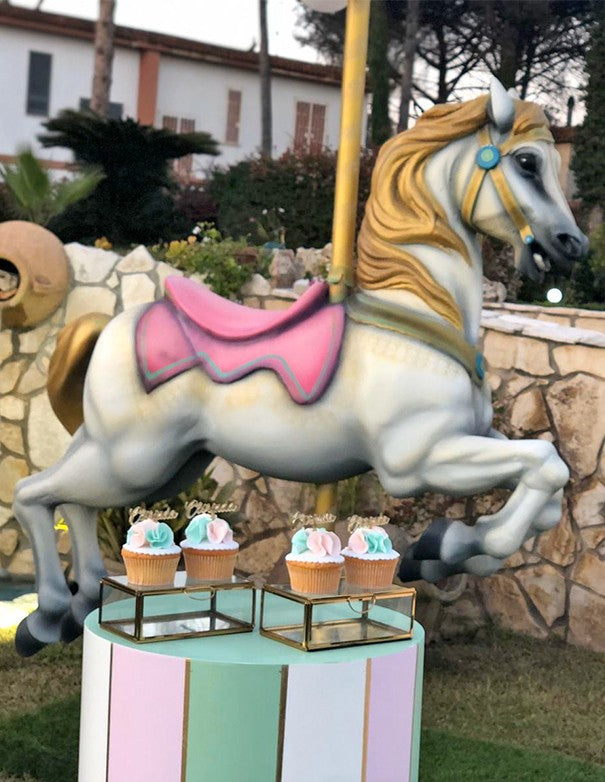 CAVALLO DA GIOSTRA