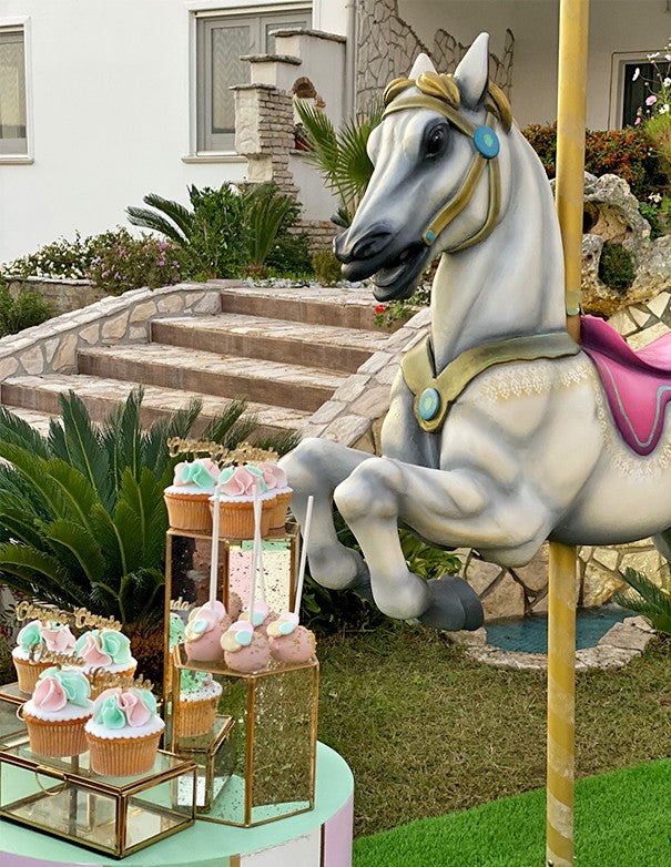 CAVALLO DA GIOSTRA