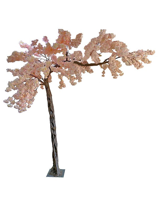 ALBERO DI PESCO FIORITO