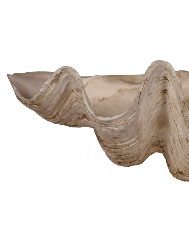 CONCHIGLIA DECORATIVA