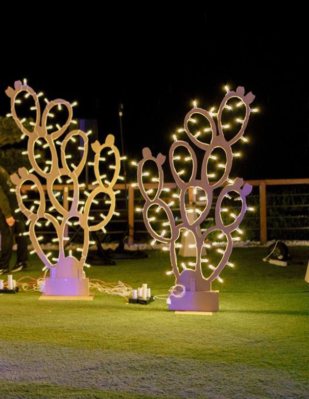 CACTUS ORO CON LUCI