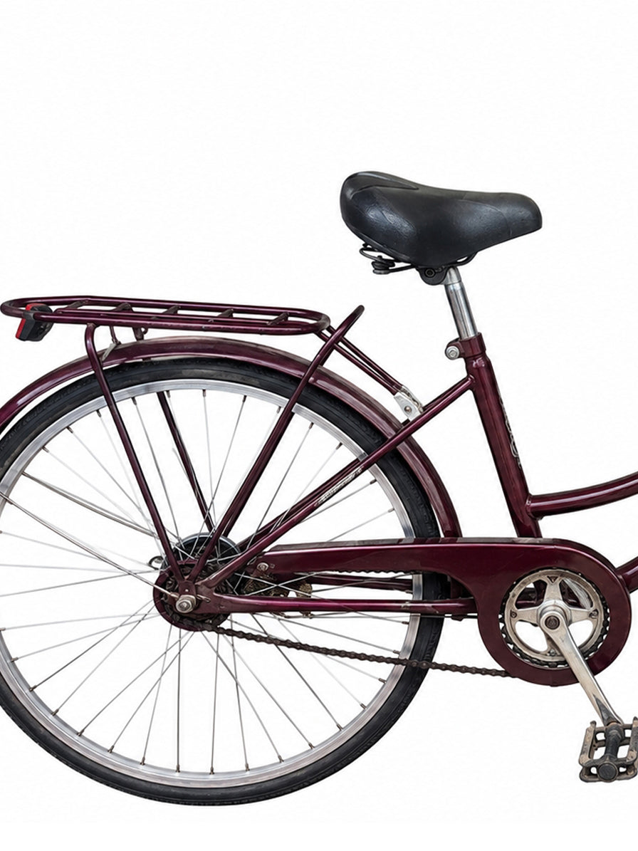 BICICLETTA PRUGNA