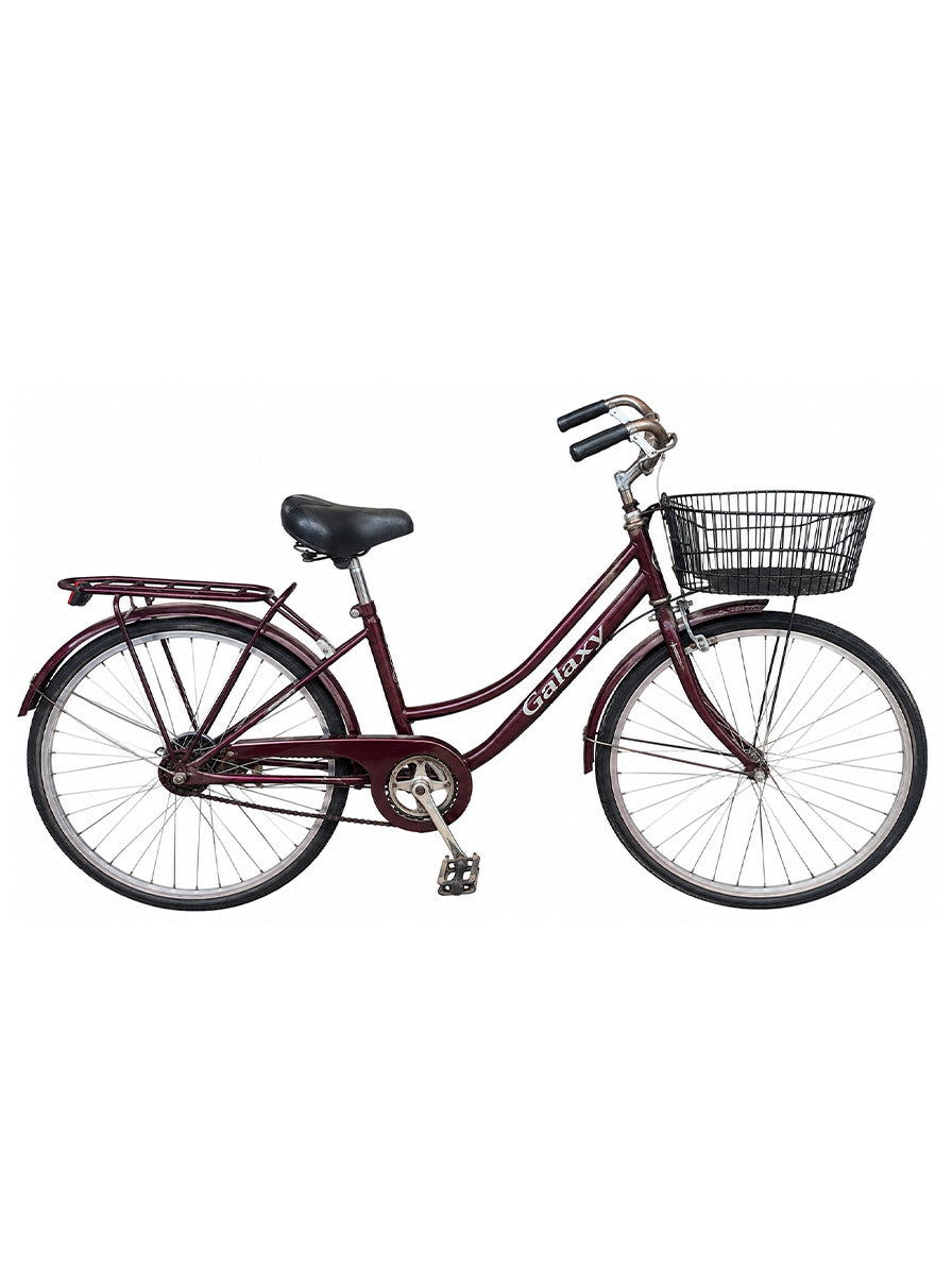 BICICLETTA PRUGNA